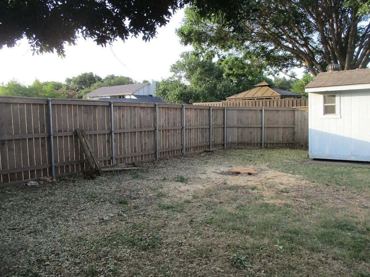 Cleared yard after professional tree removal in Cedar Springs