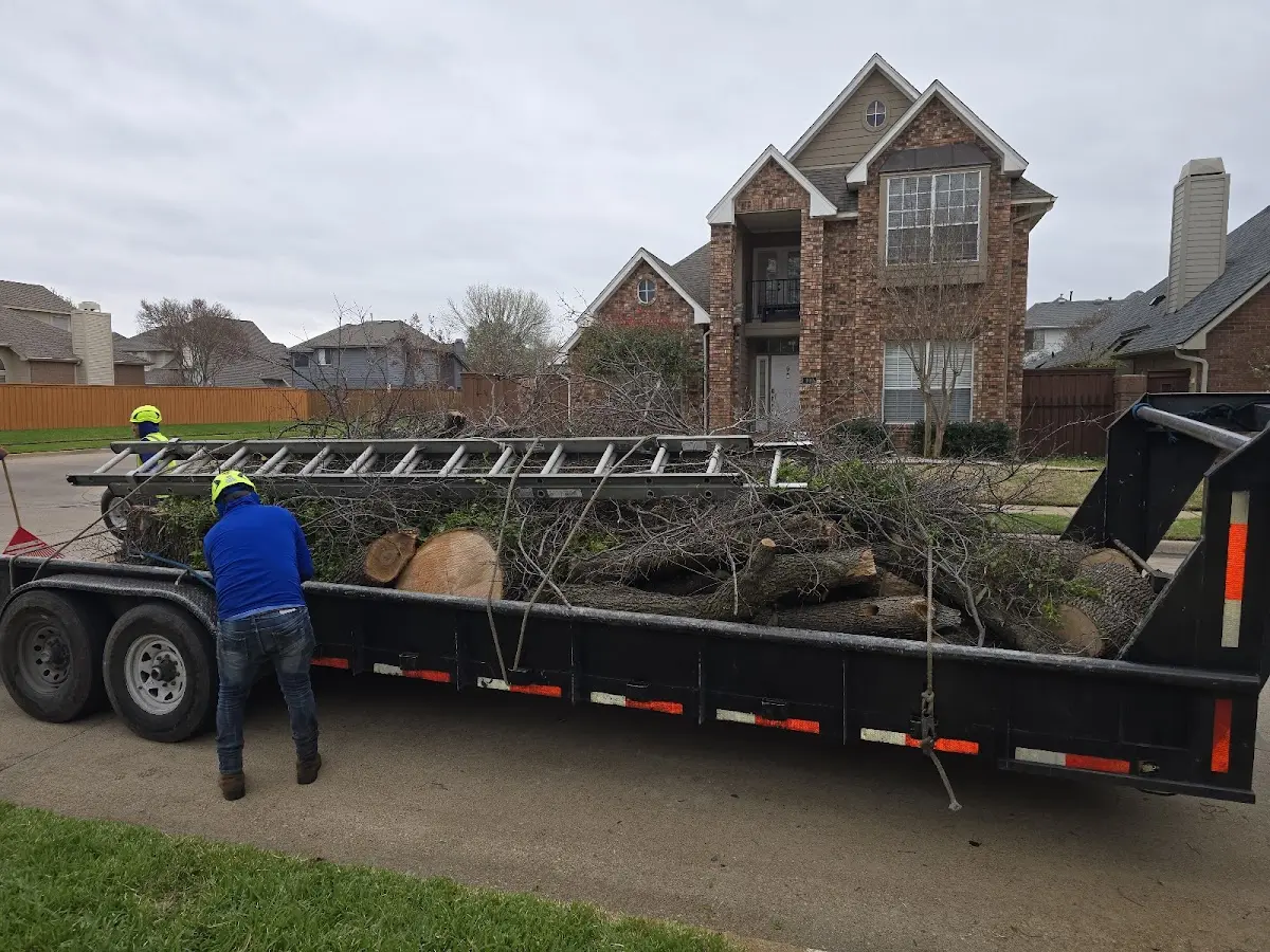 Expert Tree Fertilization with proper safety equipment in Cedar Springs